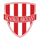 Sokol Brozani